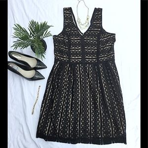 Loft Black Lace Dress