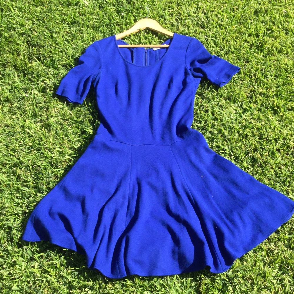 Georgous Royal Blue Dress