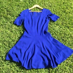 Georgous Royal Blue Dress
