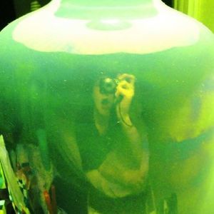 Meet your Posher, Lilly