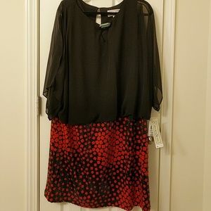 Brand New Red &Black Dress