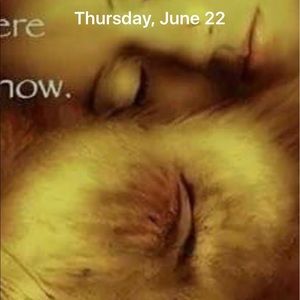 Meet your Posher, Cynthia