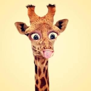 Meet your Posher, Brittni