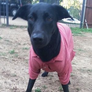 Meet your Posher, Mallory