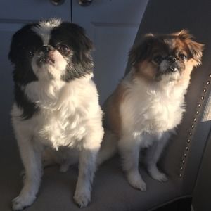 Meet your Posher, Jodi