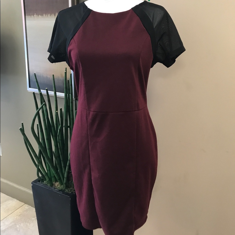 Renvy Chic Maroon Dress Short Sleeve Large