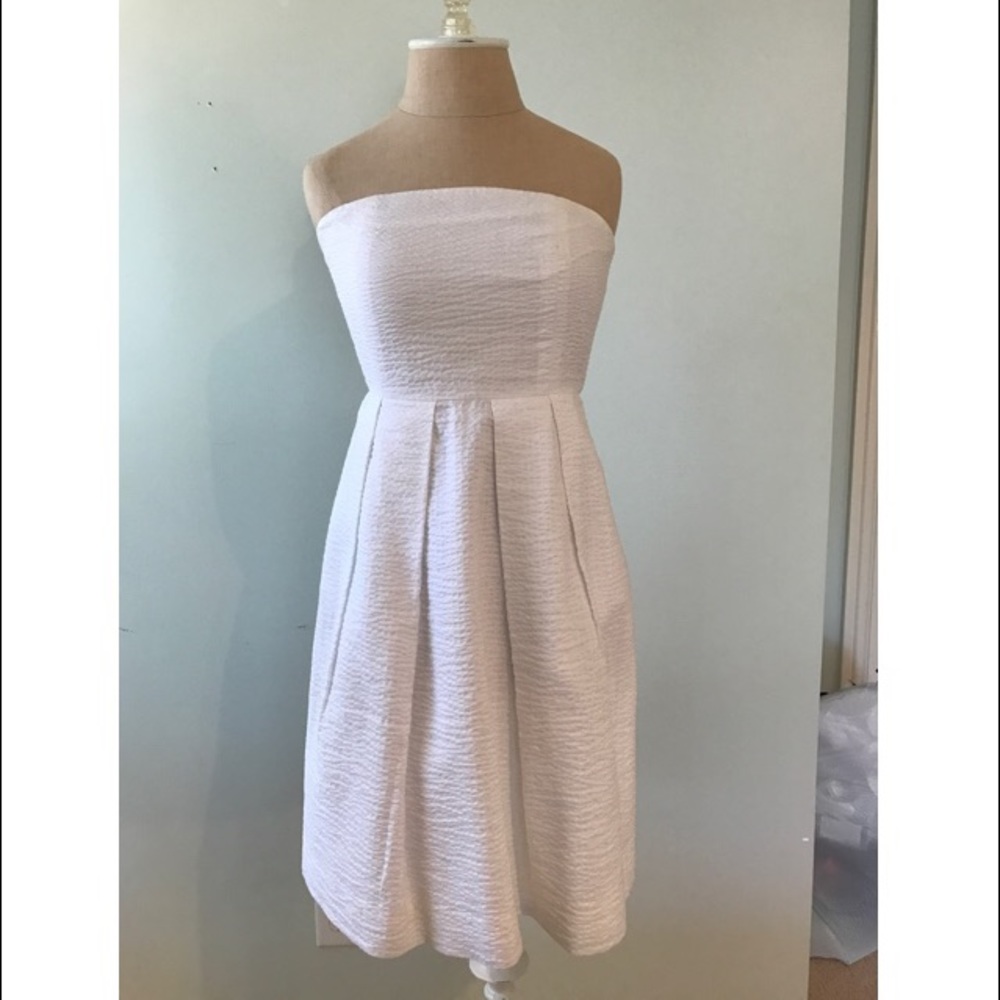 J Crew dress