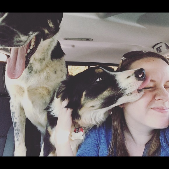 Meet your Posher, Katie - Picture 1 of 1