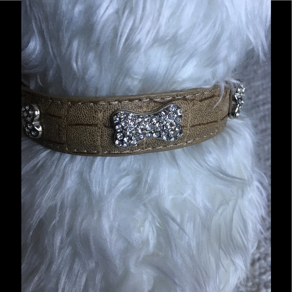 Statement Collar Mega Rhinestones NWOT