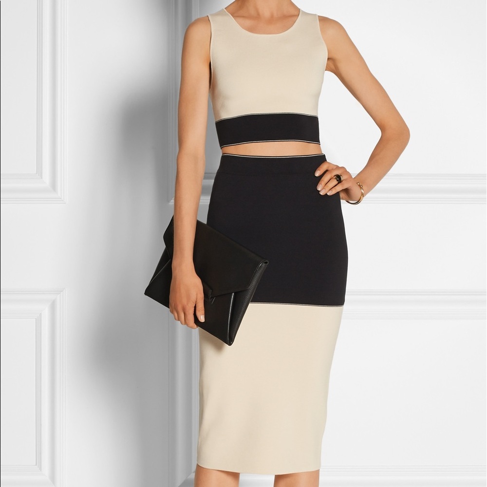 Rag&Bone Elastic Regina Colorblock Pencil Skirt - image 2