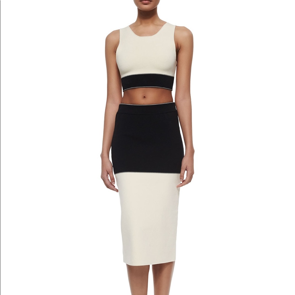 Rag&Bone Elastic Regina Colorblock Pencil Skirt - image 3