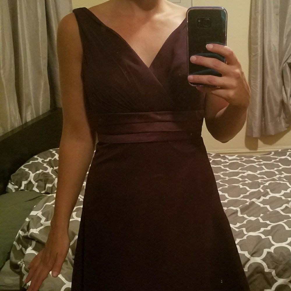 DaVinci Dress