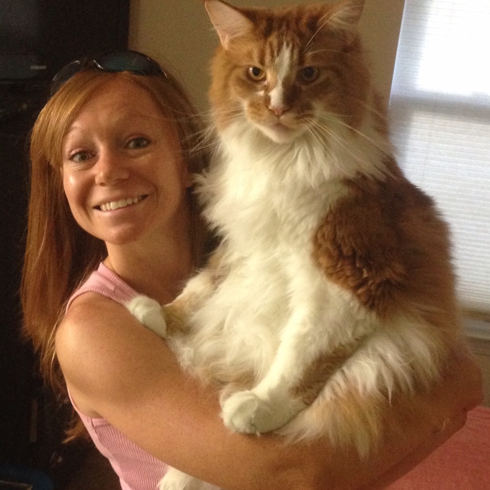 Kitty fur