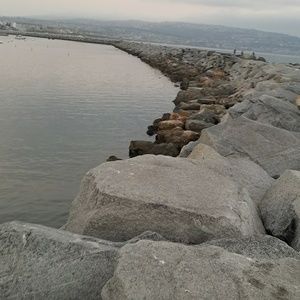 Meet your Posher, Vicente