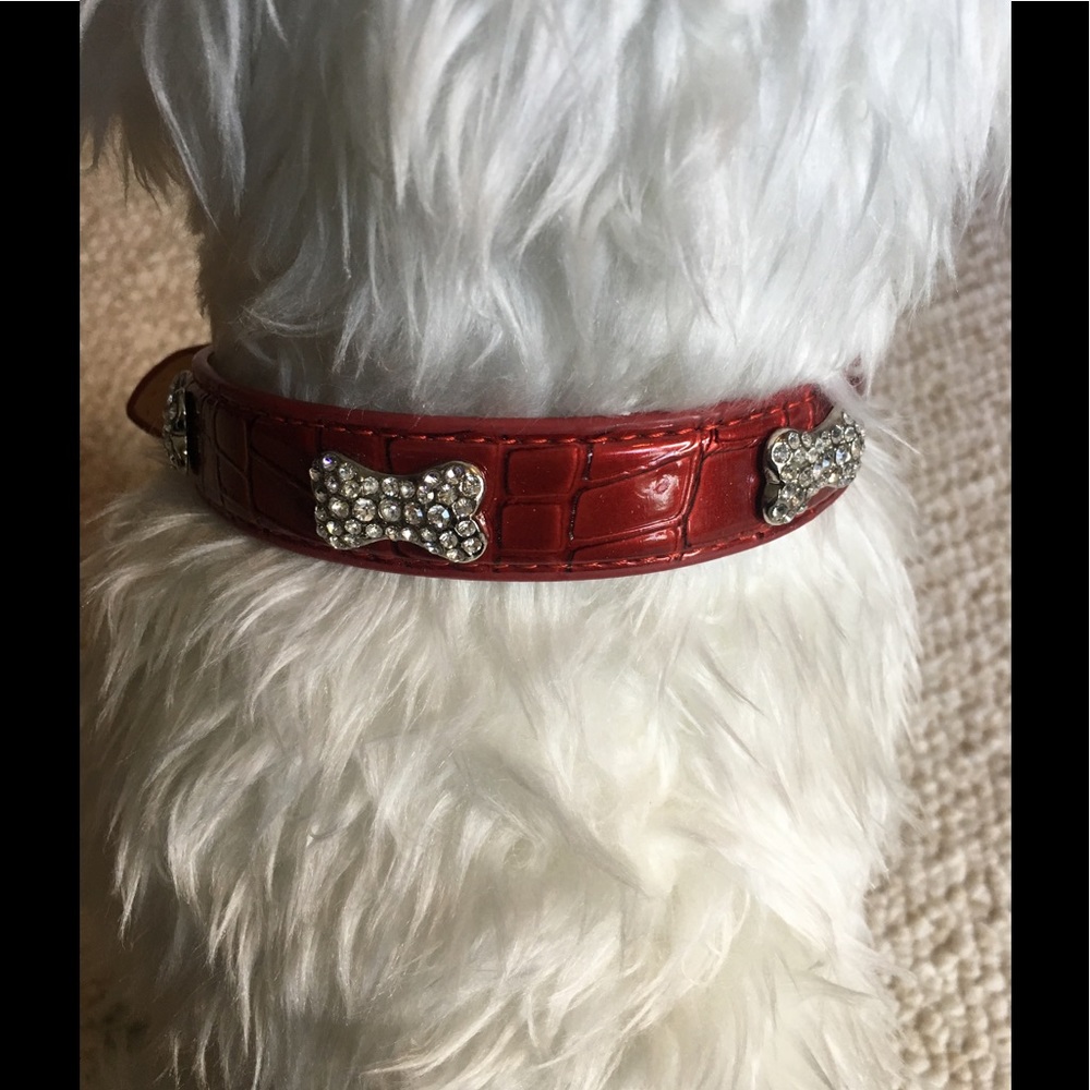 Statement Collar "Ruby Slipper Red"
