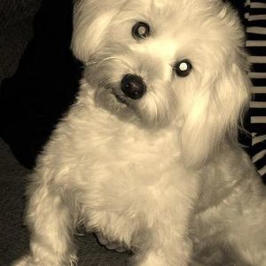 Meet your Posher, Jan