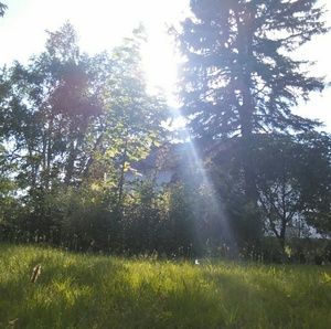 Meet your Posher, Ashlynn