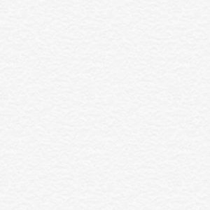 Meet your Posher, Dalton