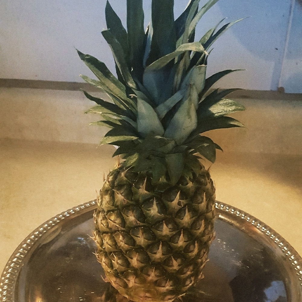 Meet your Posher, Suzanne