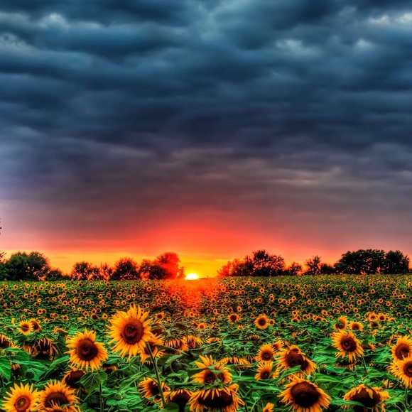 Excited to be Posh Ambassador... - Picture 4 of 4