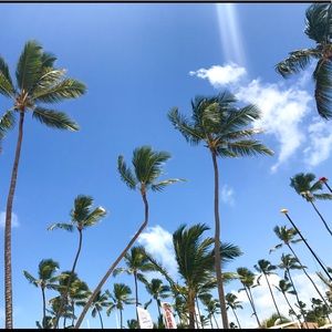 Meet your Posher, Margo