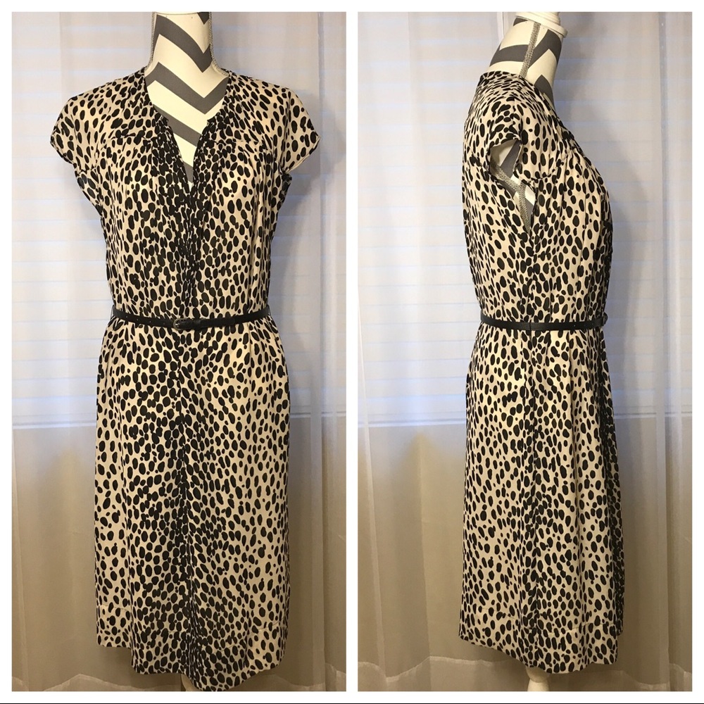 🖤 Talbots Animal Print Shift Dress, 10 🖤