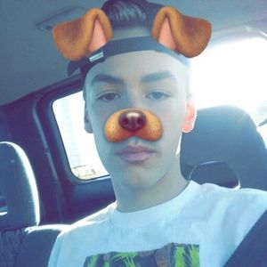 Meet your Posher, Benjamin