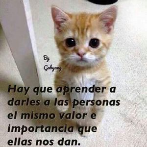 Meet your Posher, Gabriela