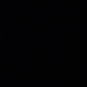 Meet your Posher, Audrey