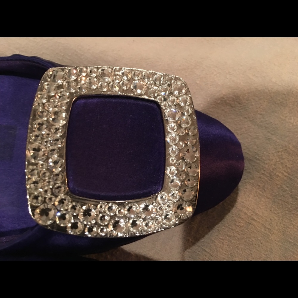 ROGER VIVIER Chips Ballerina Flat. - Picture 3 of 7
