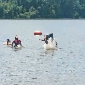 Meet your Posher, Bobby