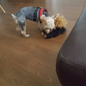 Meet your Posher, Jan