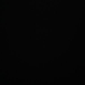 Meet your Posher, Freddy