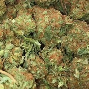 Meet your Posher, Nicola