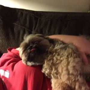 Meet your Posher, Debbie