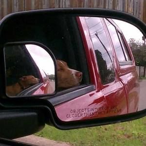 Meet your Posher, Alexander