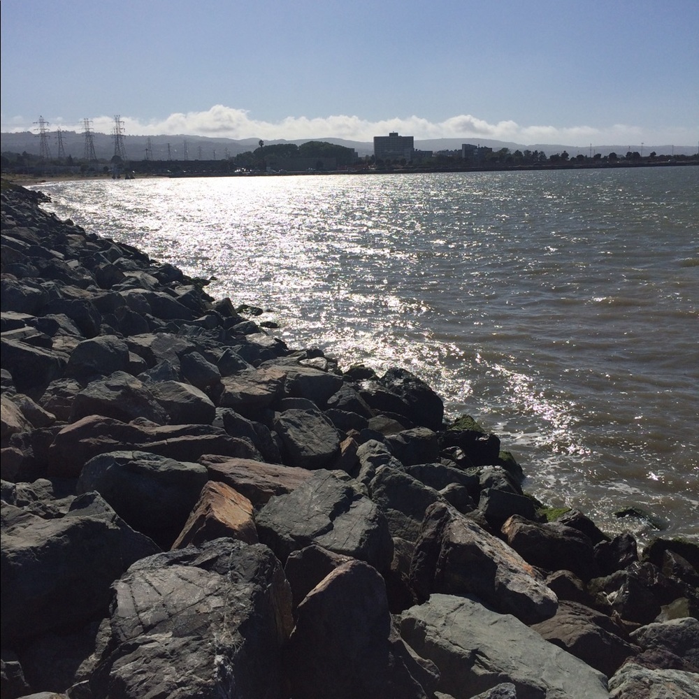 Meet your Posher, Jasmine