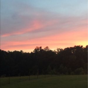 Meet your Posher, Pam