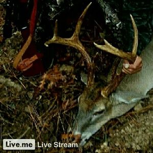 Meet your Posher, Zane