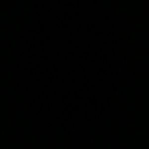 Meet your Posher, Caren