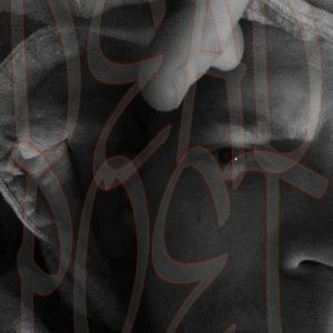 Meet your Posher, Bobby