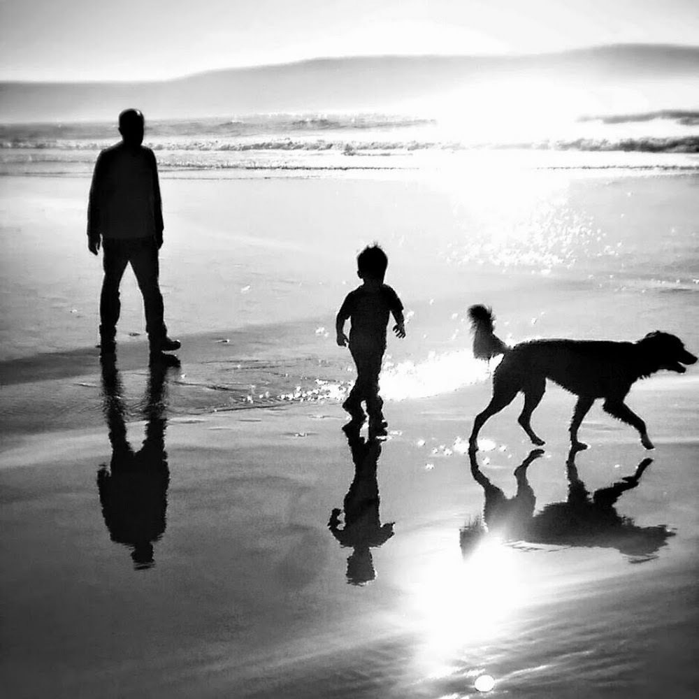 Meet your Posher, Cassandra