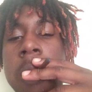 Meet your Posher, Lee