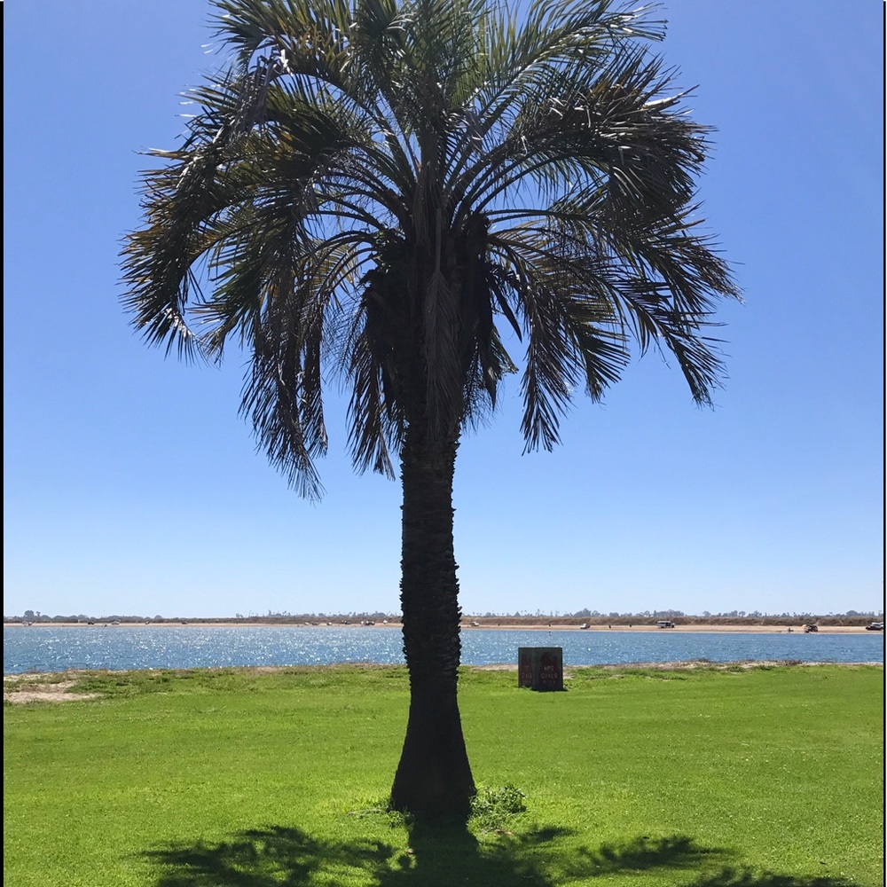 Poshing from beautiful San Diego 🌊🌊🌊👒👒👒🐬🐬