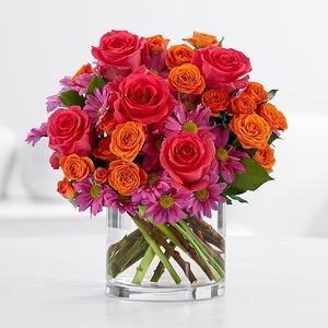 Meet your Posher, Niloo