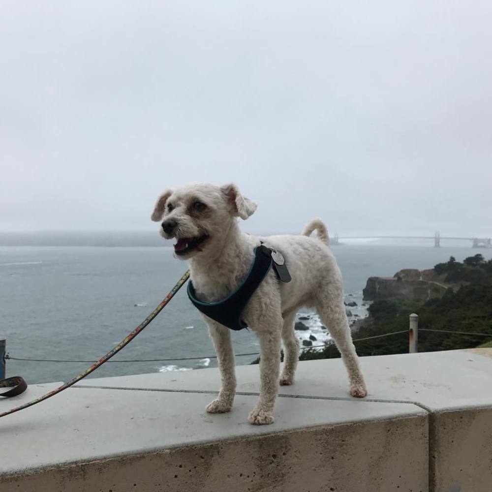 Meet your Posher, Isabela