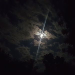 Meet your Posher, Julien