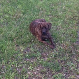 Meet your Posher, Kristen