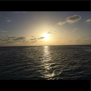 Meet your Posher, Lis