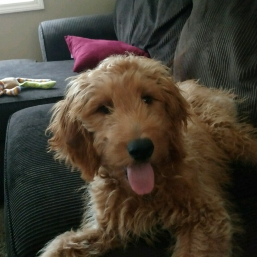 Meet your Posher, Jill